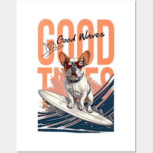 Dog Surfing 7703 Posters and Art